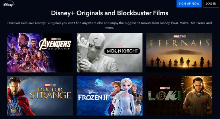 디즈니+, 테마파크 회원권 번들 요금제 출시하나?